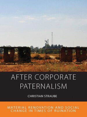 cover image of After Corporate Paternalism